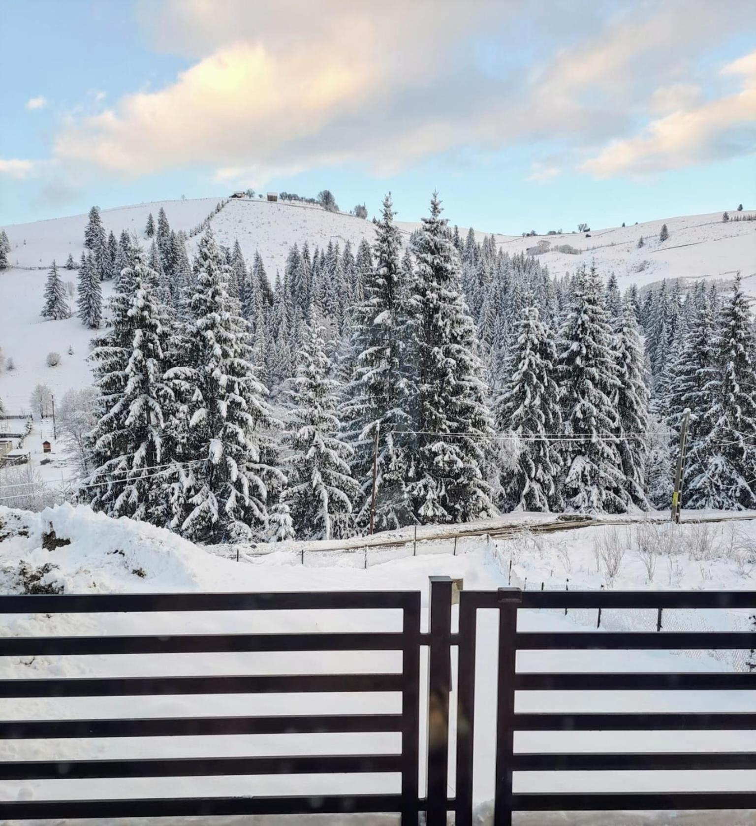 A Pisc Hotel Vatra Moldovitei Luaran gambar
